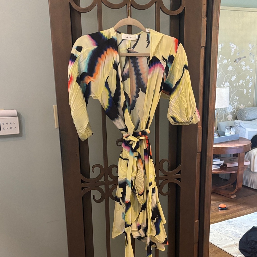 ALC Wrap  Tie-Dye Dress 4